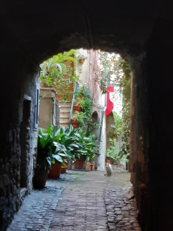 Appartement Historical Domus à Anagni Extérieur photo