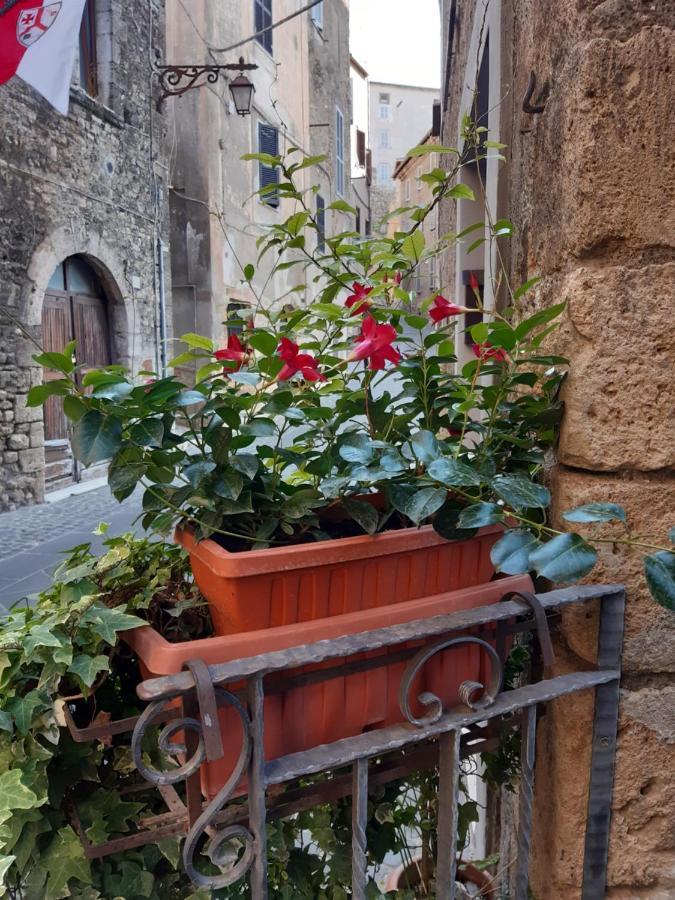 Appartement Historical Domus à Anagni Extérieur photo